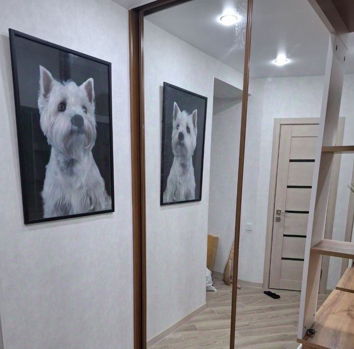 квартира г Ростов-на-Дону р-н Кировский ул Социалистическая 238 фото 27