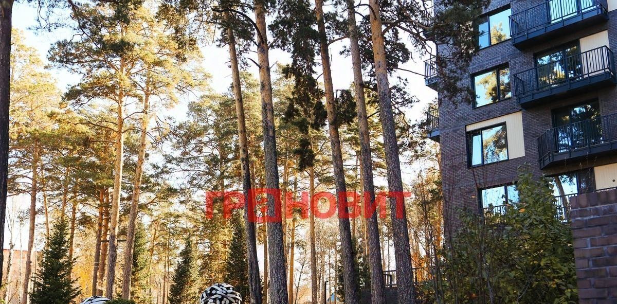 квартира г Новосибирск Заельцовская ш Дачное 22/3 фото 4
