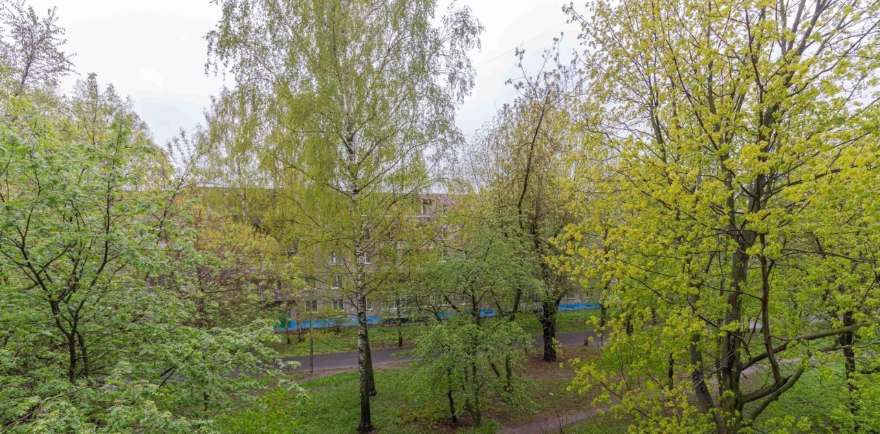 квартира г Владимир р-н Фрунзенский ул Суворова 6 фото 8