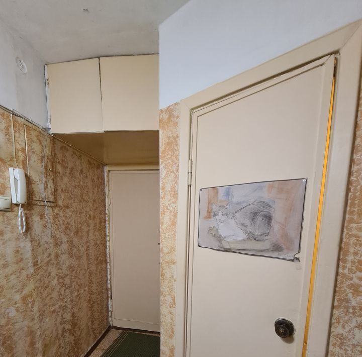 квартира г Сестрорецк ул Володарского 11 Беговая фото 19