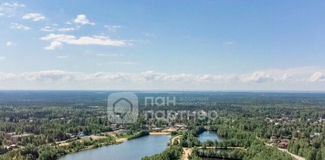 массив Мертуть снт Заозерное Сертоловское городское поселение фото