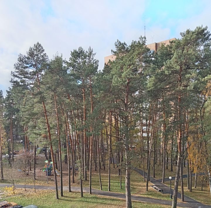 квартира г Протвино проезд Молодежный 4 Серпухов городской округ фото 11