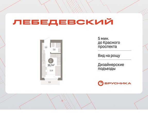 ЖК «Лебедевский» фото