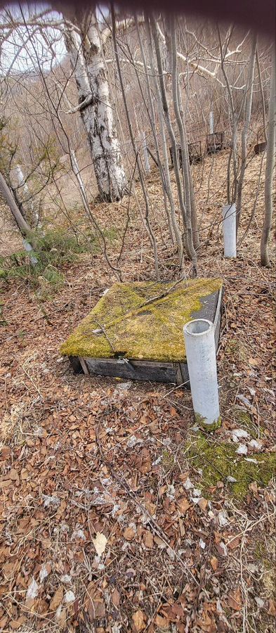 дом р-н Елизовский г Елизово автодорога Петропавловск-Камчатский - Мильково фото 8