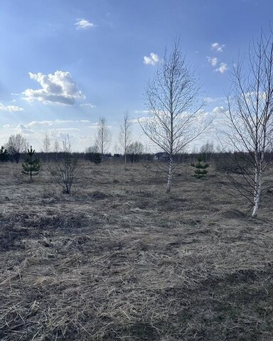 д Шоя-Кузнецово ул Родниковая 36 фото