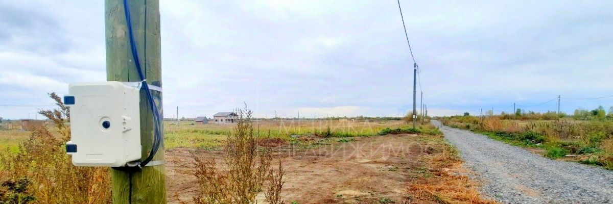 земля г Тюмень р-н Центральный снт Большое Царево-1 ул Садовая ТСН фото 3