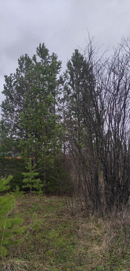 земля г Первоуральск п Билимбай ул Ольховая 12 фото 2