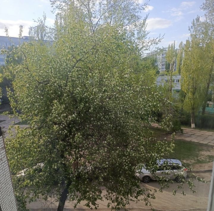 квартира г Тольятти р-н Автозаводский пр-кт Степана Разина 75 фото 12