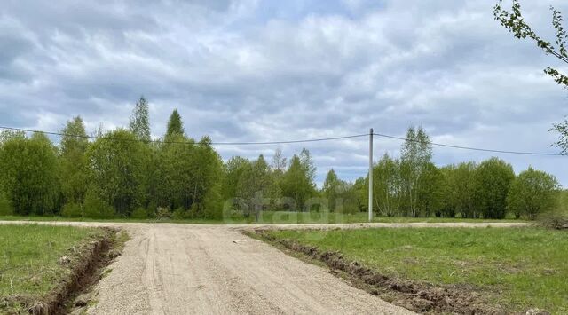 Переславль-Залесский муниципальный округ фото