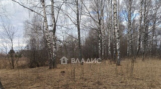 земля ул Центральная Малыгинское с/пос фото