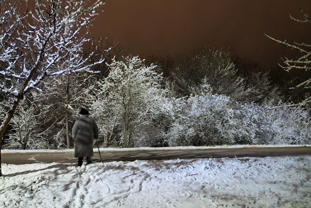 дом г Воронеж ул Горняков 369 фото 19