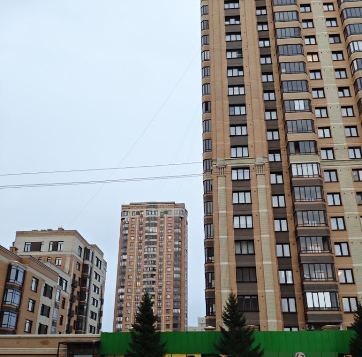 квартира г Новосибирск Маршала Покрышкина ул Державина 49 фото 6