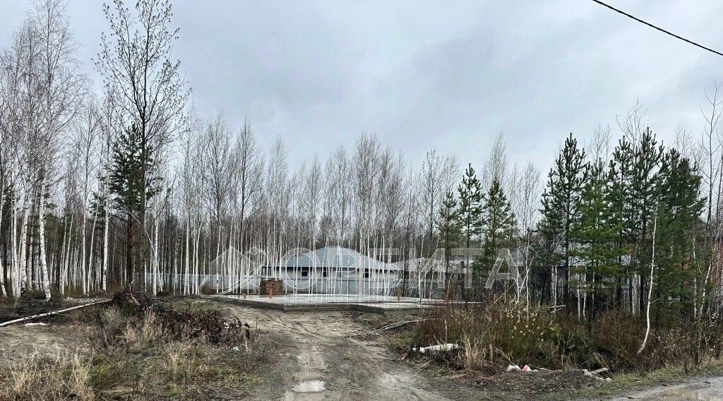 земля г Тюмень р-н Центральный снт Медик ул. Морковная, 87 фото 5
