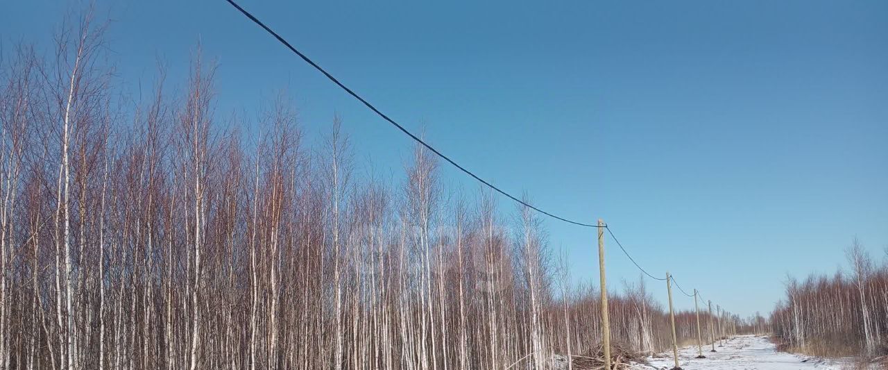 земля г Тюмень р-н Центральный снт Большое Царево-1 фото 4