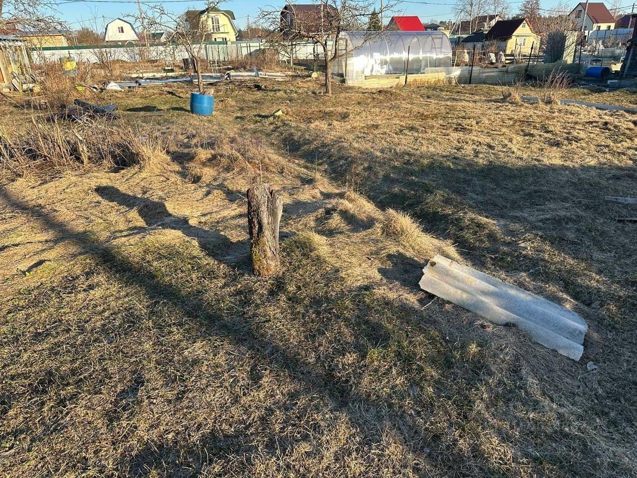 земля г Сосновый Бор ш Копорское Сосновоборский городской округ фото 6