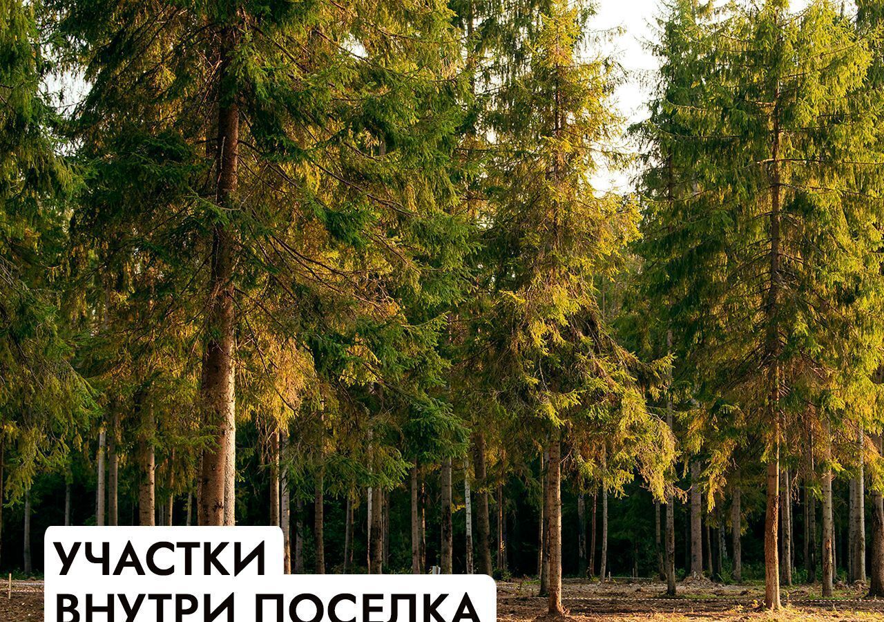 земля г Солнечногорск 20 км, КП Андреевский парк, Андреевка, Пятницкое шоссе фото 12
