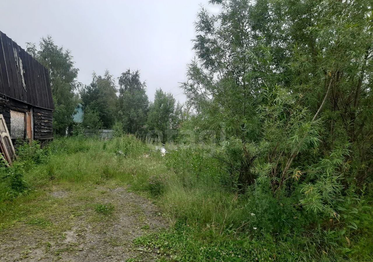 земля г Белоярский снт Луч Тюменская обл., Нижневартовск фото 2