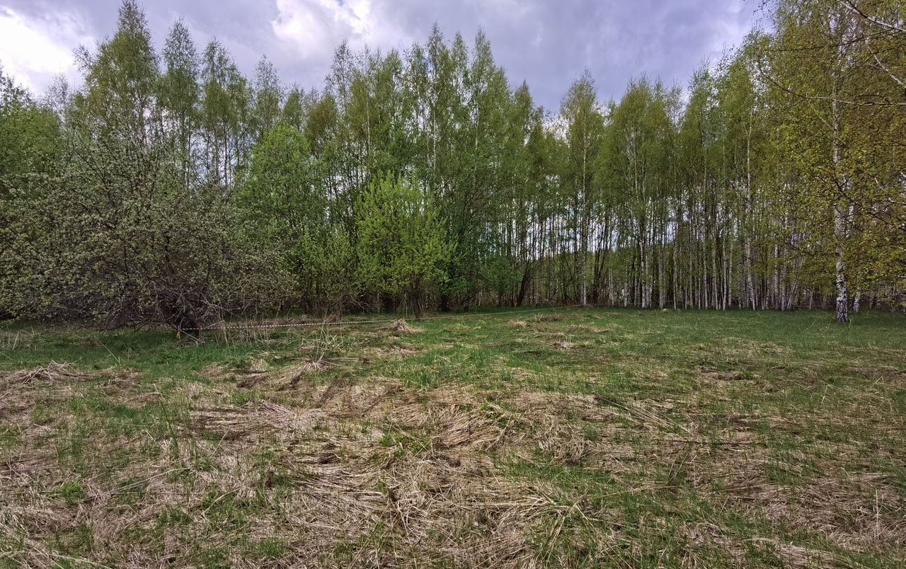 земля р-н Чкаловский г Чкаловск д. Кузнецово Кузнецовский сельсовет фото 4