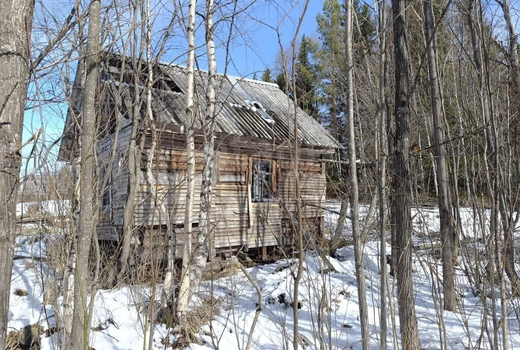 земля г Новодвинск снт тер.Берёзка фото 1