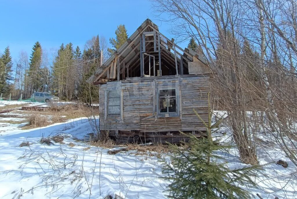 земля г Новодвинск снт тер.Берёзка фото 3