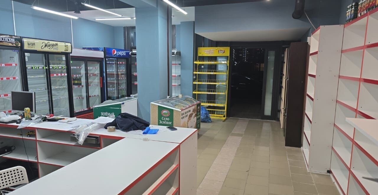 свободного назначения р-н Всеволожский г Кудрово пр-кт Европейский 22 Улица Дыбенко, Заневское городское поселение фото 3