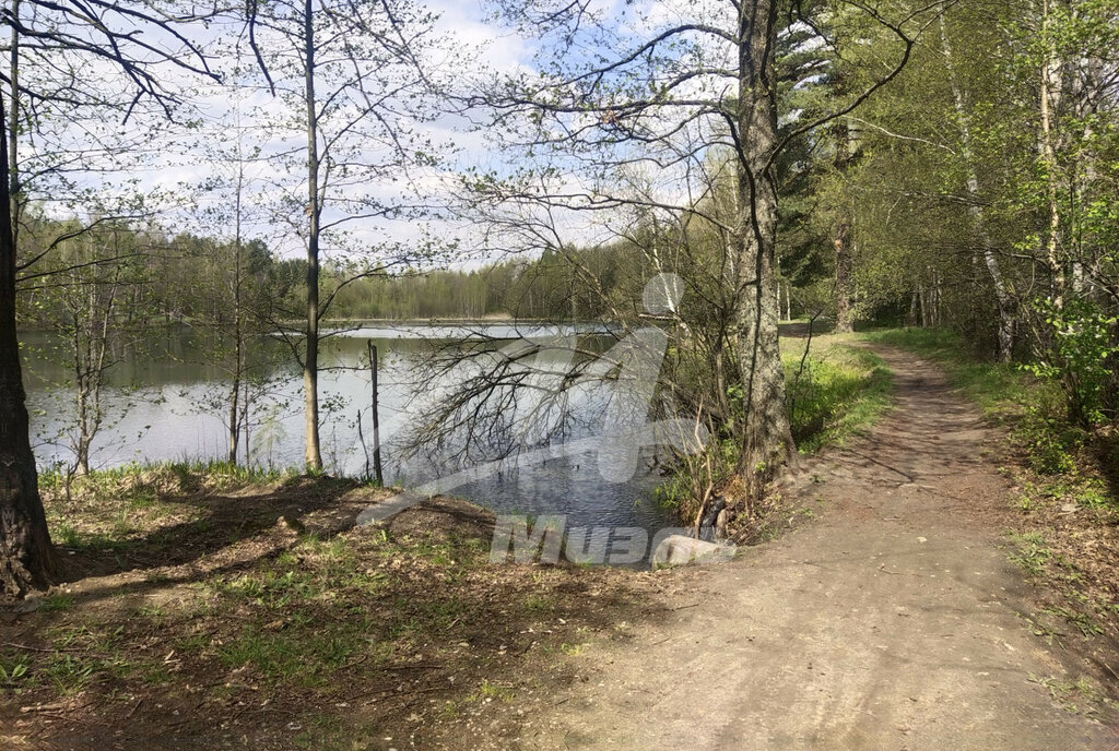 земля городской округ Богородский г Ногинск снт Богатырь Малаховка фото 4