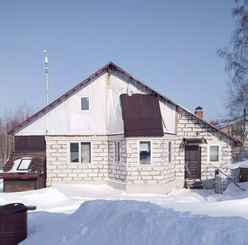 Берёзовая роща фото
