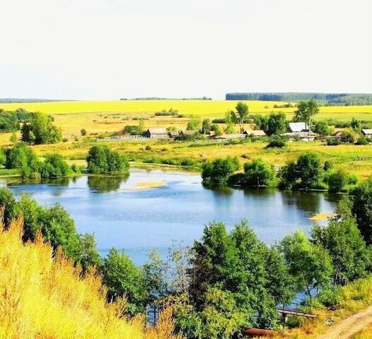 Старосахчинское сельское поселение, Димитровград фото