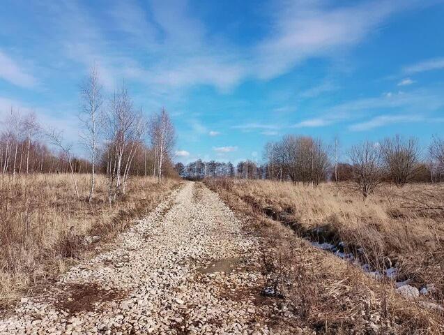 ул Дальняя фото