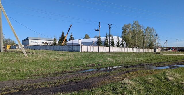 ул Северная 21 Шемякский сельсовет, Алкино-2 фото