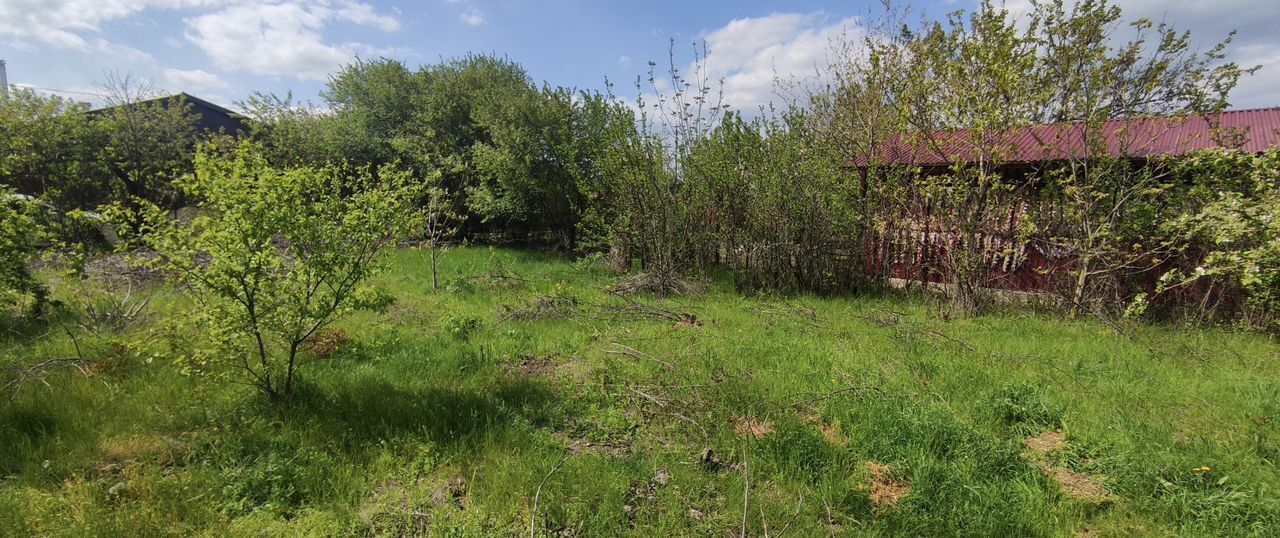 земля г Новочеркасск снт Виноградная лоза 314 фото 4
