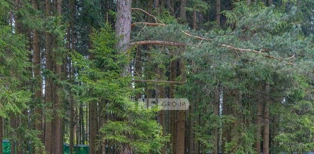 Ренессанс парк кп, Нахабино фото