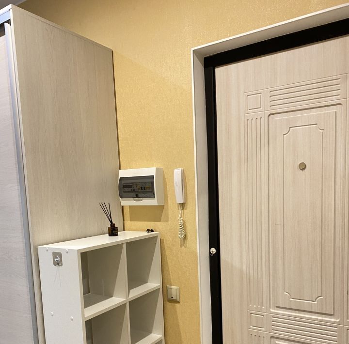 квартира г Пушкин ул Архитектора Данини 11/6 метро Купчино фото 16