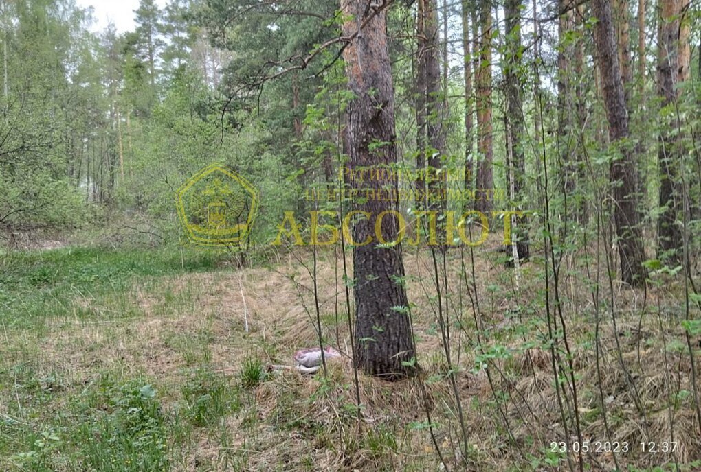 земля г Дегтярск п Чусовая ул Дачная фото 3