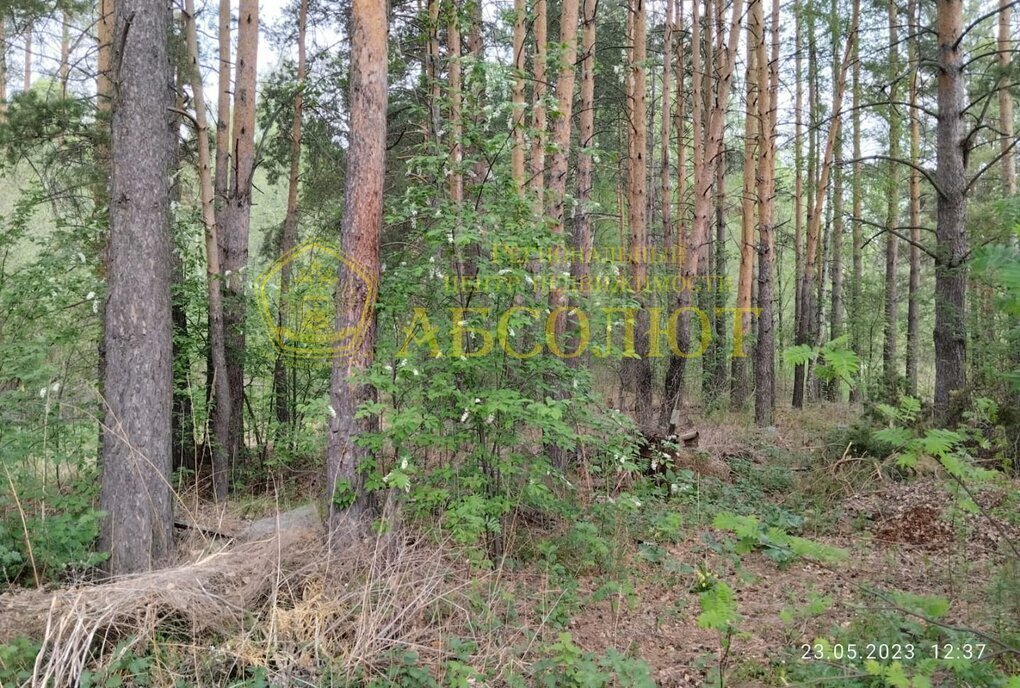 земля г Дегтярск п Чусовая ул Дачная фото 4