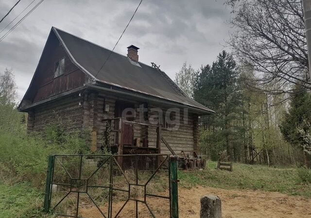 муниципальное образование Пекшинское, 164, Костерево фото