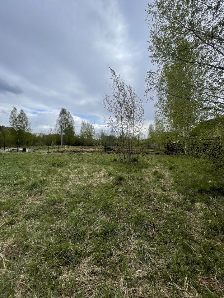 земля городской округ Пушкинский г Красноармейск ул Лермонтова 21 фото 9