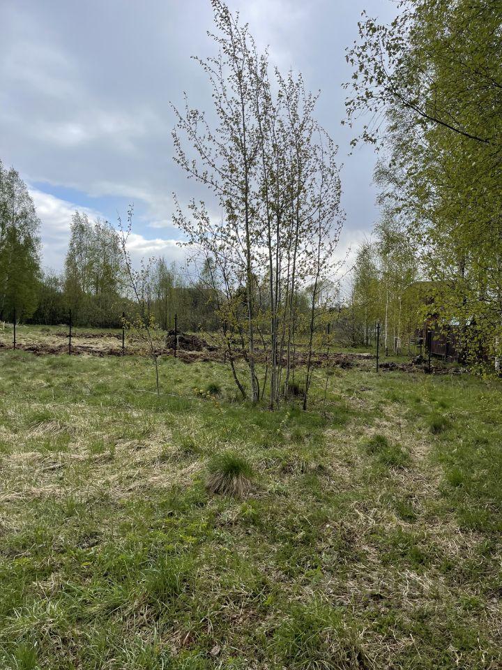 земля городской округ Пушкинский г Красноармейск ул Лермонтова 21 фото 8