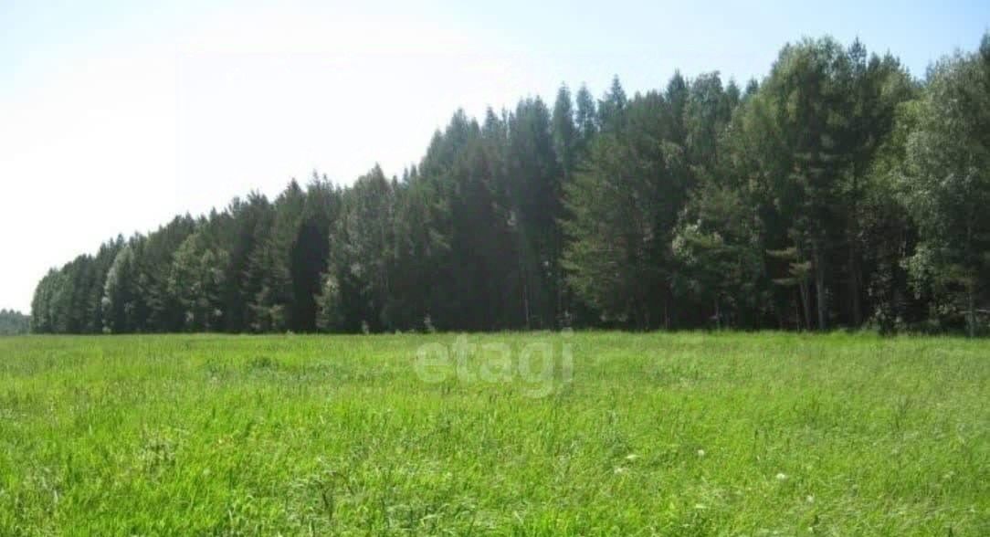 земля г Полевской с Курганово ул 1-ая Кварцевая 7 фото 2