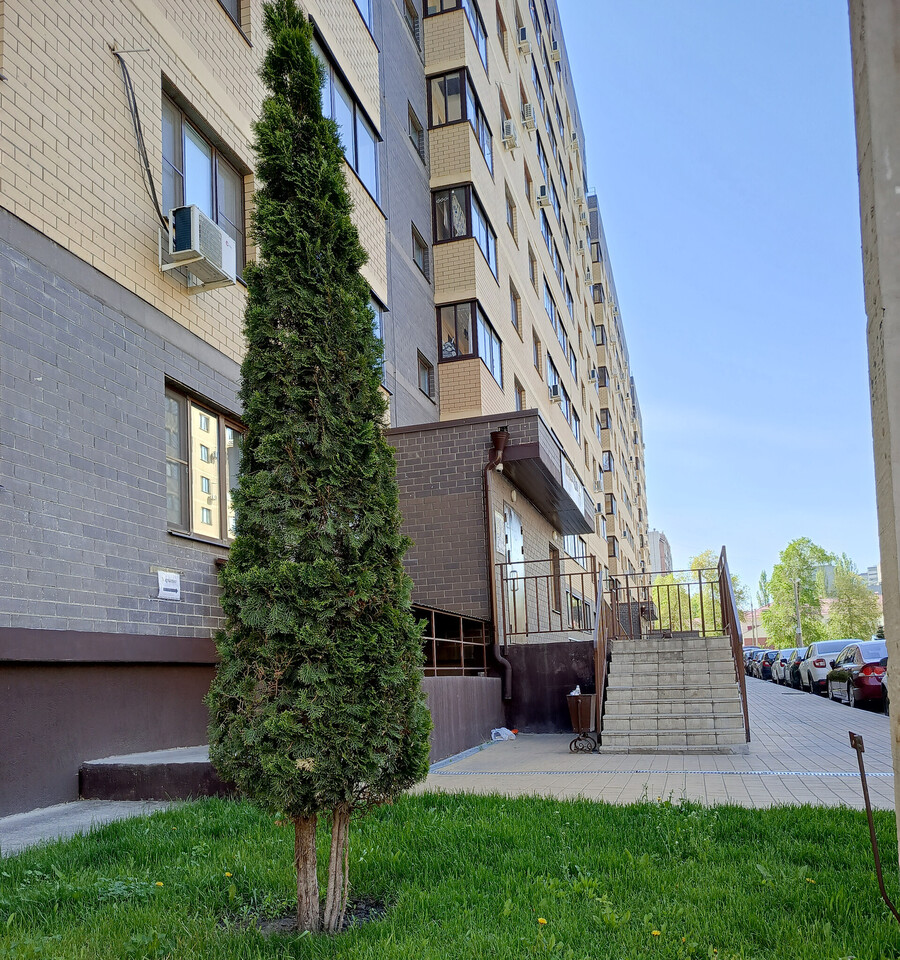 квартира г Воронеж Ржевская, 11 дом фото 4