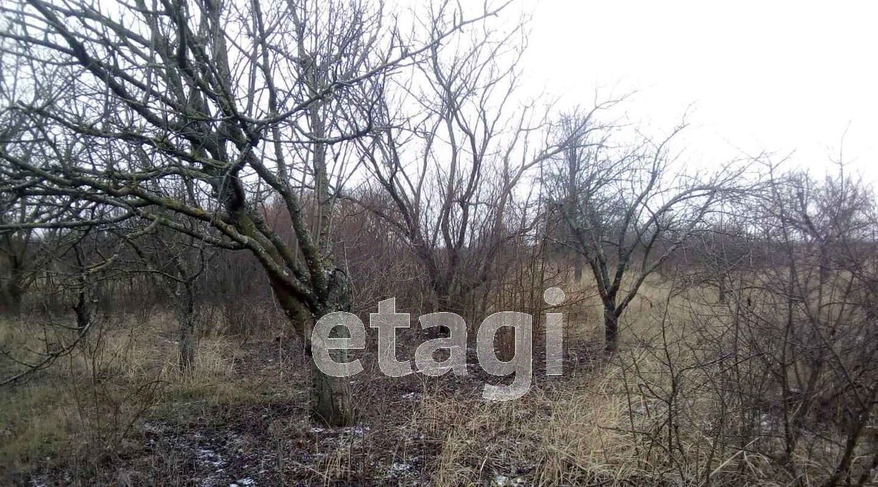 земля р-н Ейский г Ейск п Широчанка снт Авиатор фото 4