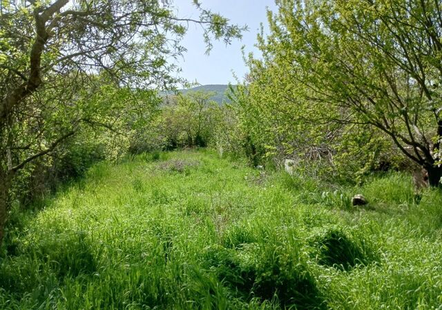 р-н Балаклавский Инкерман, Балаклавский муниципальный округ, 14, Крым фото