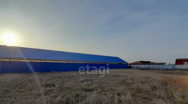 ул Полевая 2в Александровское с/пос фото