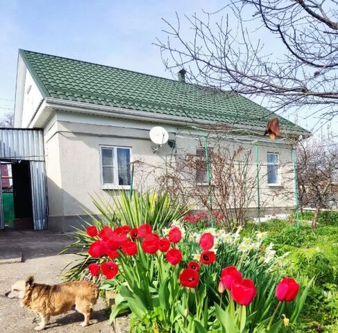 ул Карла Маркса фото