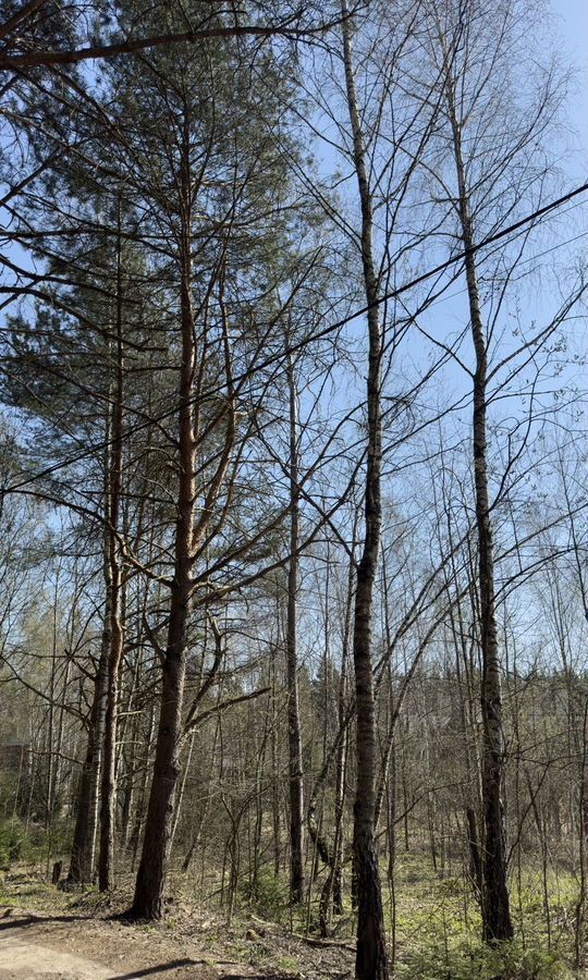 земля городской округ Одинцовский г Звенигород 31 км, ПСК Супонево-1, 390, Ильинское шоссе фото 11