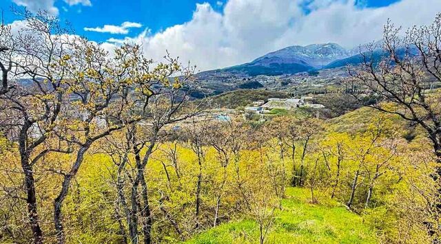 пгт Партенит ул Ламбатская фото