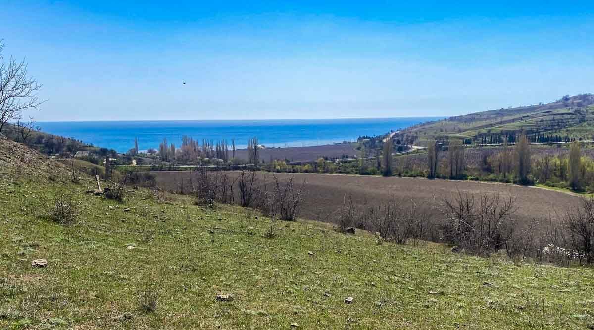 земля г Алушта с Приветное ул Фросинлер фото 7