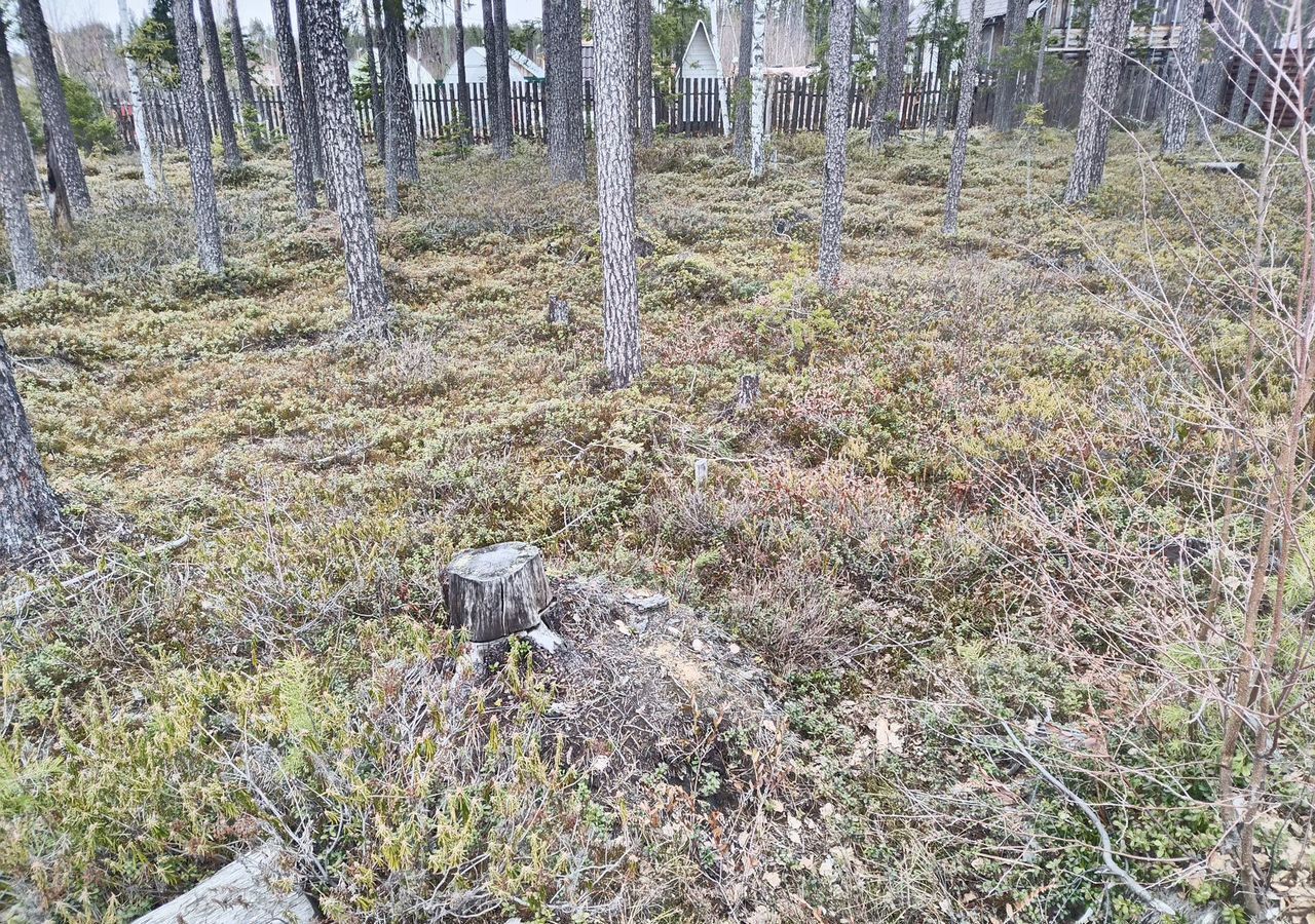 земля г Сыктывкар пгт Краснозатонский ул Рассветная 3 фото 3