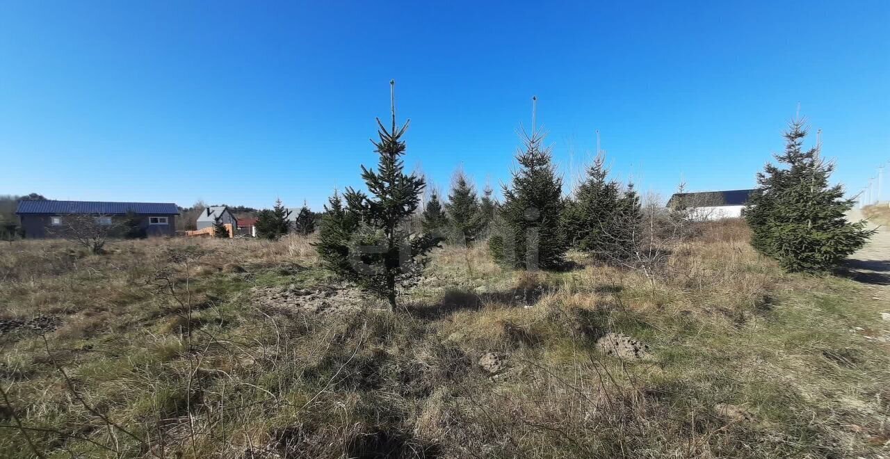 земля р-н Зеленоградский г Зеленоградск ул Ясная Янтарный, СТ Прислово фото 15