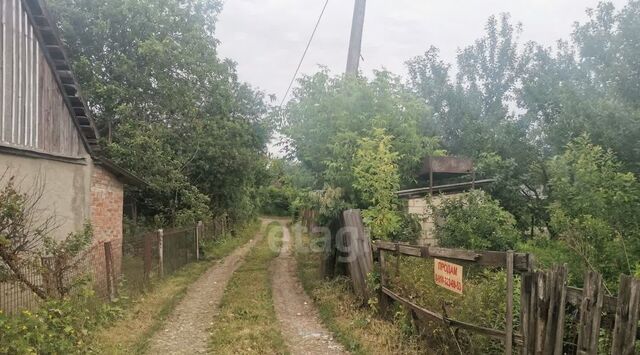 Западный Котельщик садовое товарищество фото